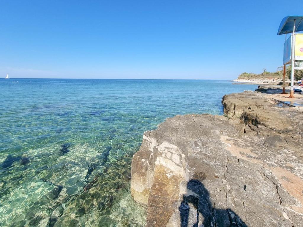 Novigrad IstriaSilos Mareアパートメント エクステリア 写真